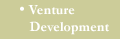 Venture Development